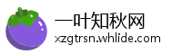 一叶知秋网